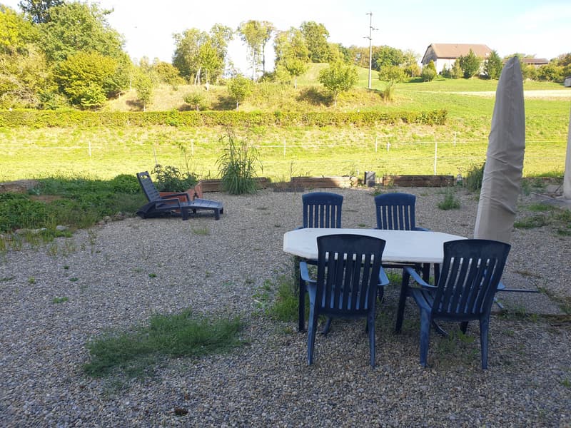 Grande chambre en colocation au calme avec jardin (4)