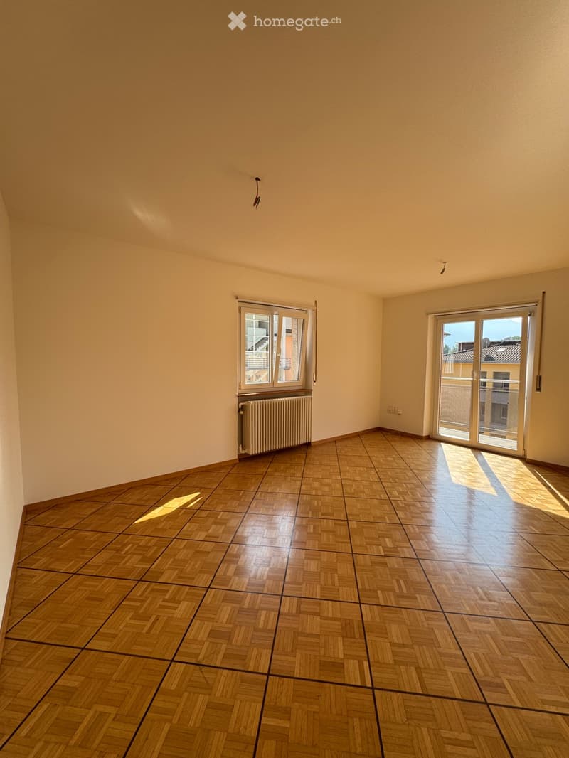 BELLINZONA  APPARTAMENTO 3½ LOCALI IN AFFITTO (3)