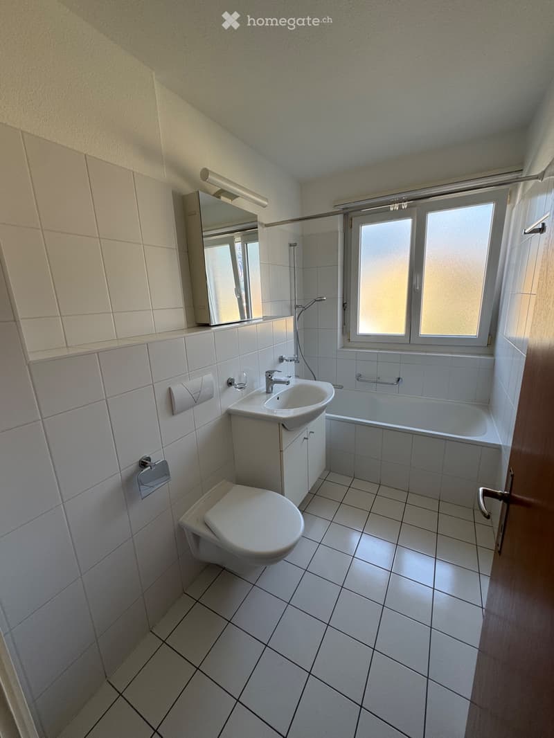 BELLINZONA  APPARTAMENTO 3½ LOCALI IN AFFITTO (5)
