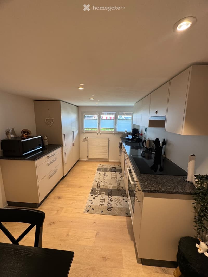 Renovierte 3.5 Zimmer Wohnung (1)