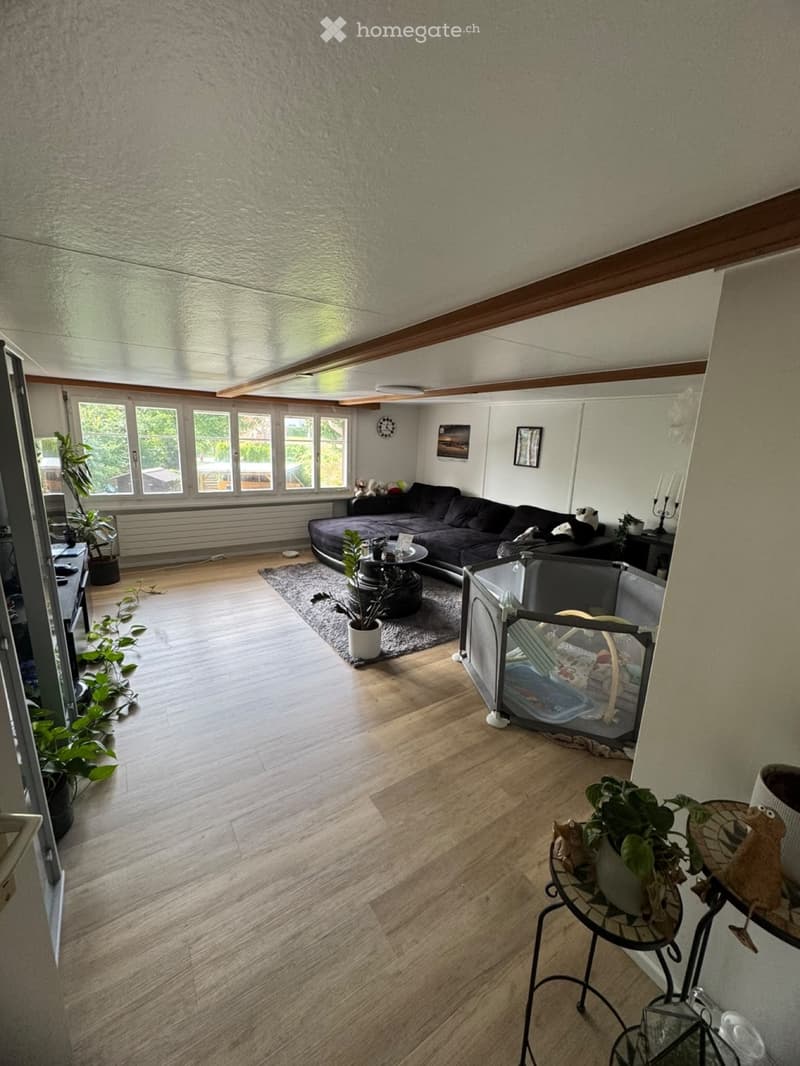 Renovierte 3.5 Zimmer Wohnung (3)