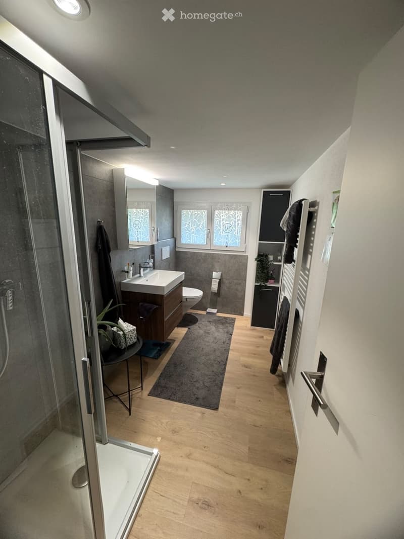 Renovierte 3.5 Zimmer Wohnung (2)