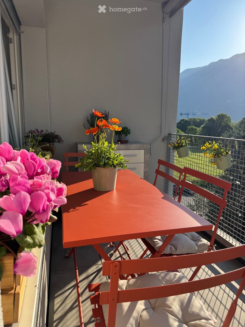 Bellissimo 2.5 locali con terrazza| Subentro dal 01.01.2027 (5)