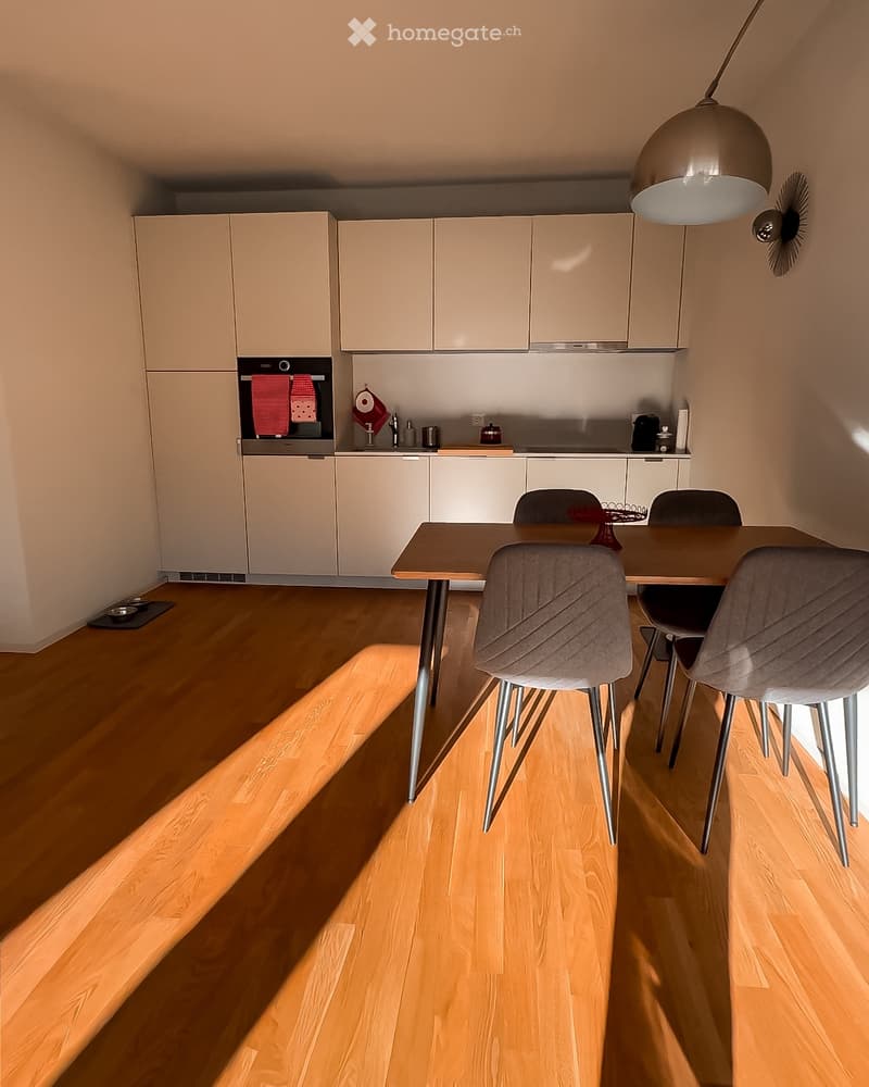 Bellissimo 2.5 locali con terrazza| Subentro dal 01.01.2027 (2)