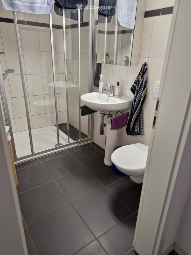3.5 Zimmer mit Sitzplatz (2)