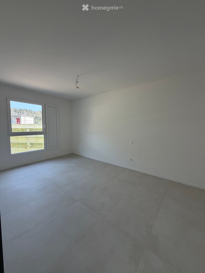 AFFITTASI APPARTAMENTO - LAMONE (3)
