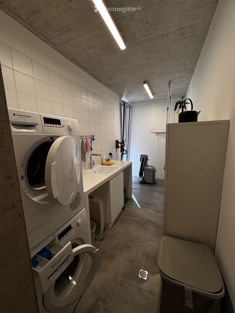 Losone, app. 4.5 locali, standing superiore (5)