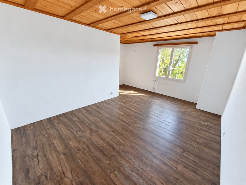 Renovierte 3.5-Zimmer-Wohnung zu vermieten per sofort (4)