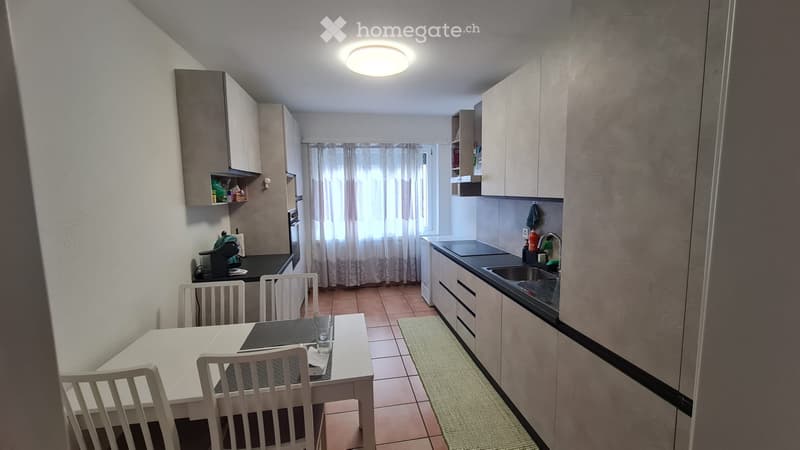 Arbedo 3½ locali al 4 - lavatrice/asciugatrice privati (1)
