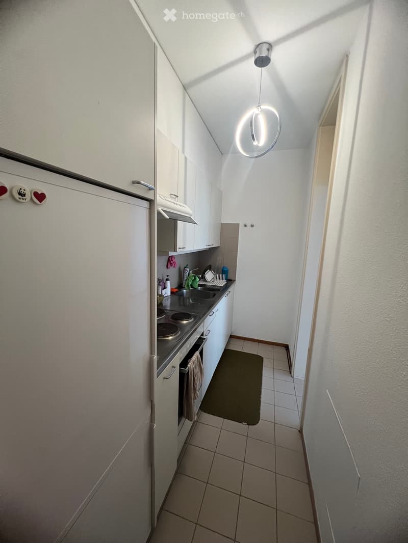 Cercasi subentrante - 2.5 locali a Pazzallo in Via dei Faggi (5)