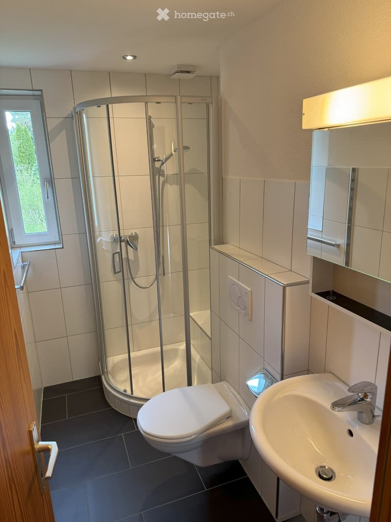 5.5-Zimmer-Dachwohnung in attraktiver Gemeinde Zuzwil SG (3)