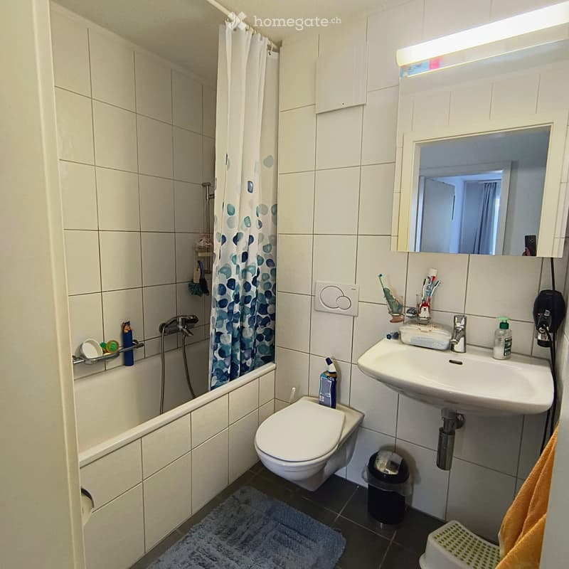 4.5 Parterrewohnung mit Terrasse (4)