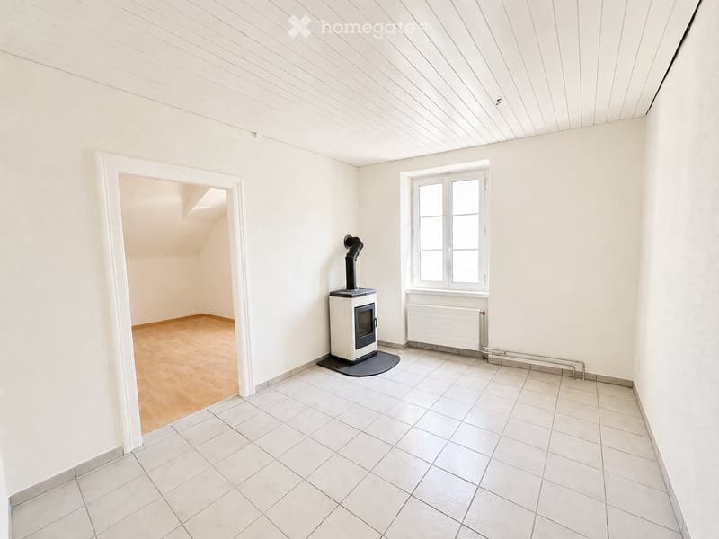 Frisch renovierte 3.0-Zimmer-Wohnung mit Dachterrasse (3)