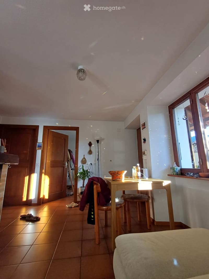 Rustico 3,5 locali / P coperto / Giardino con pergola (3)