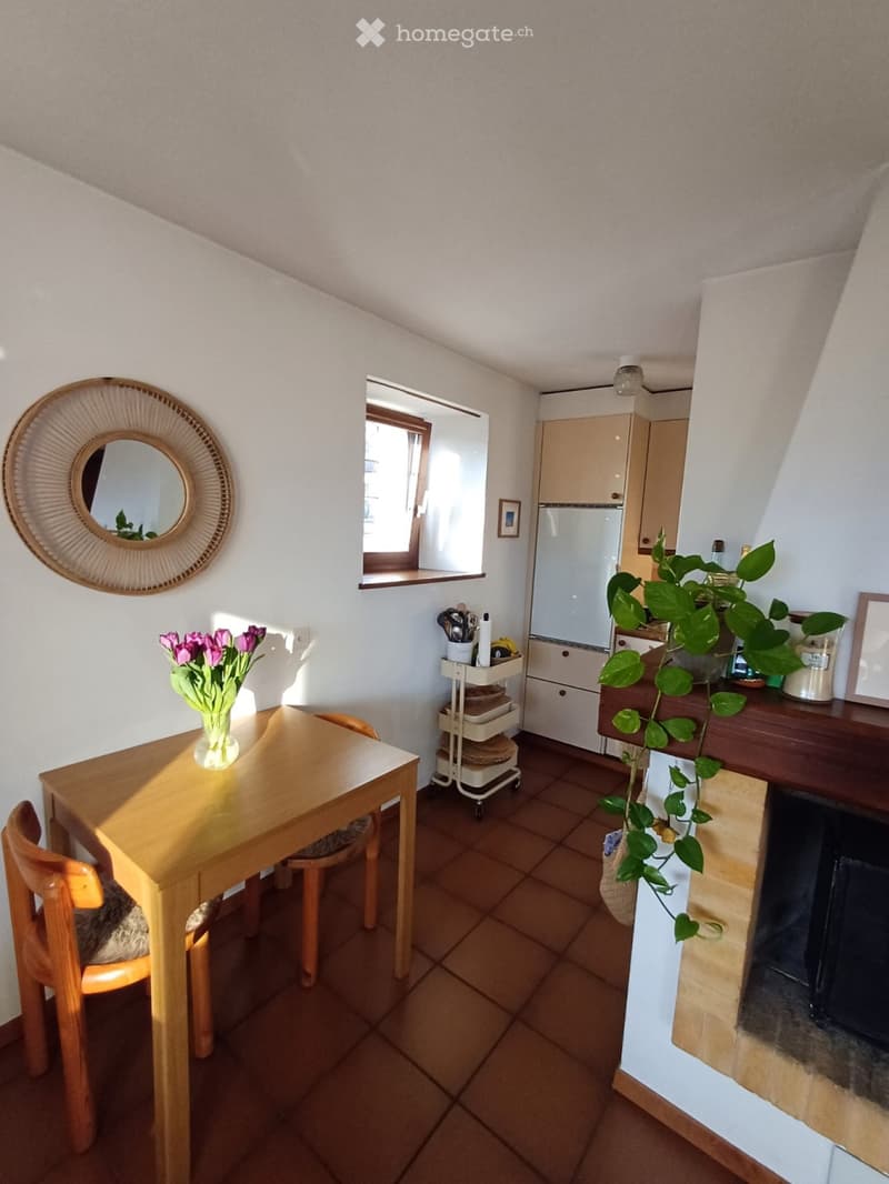 Rustico 3,5 locali / P coperto / Giardino con pergola (2)