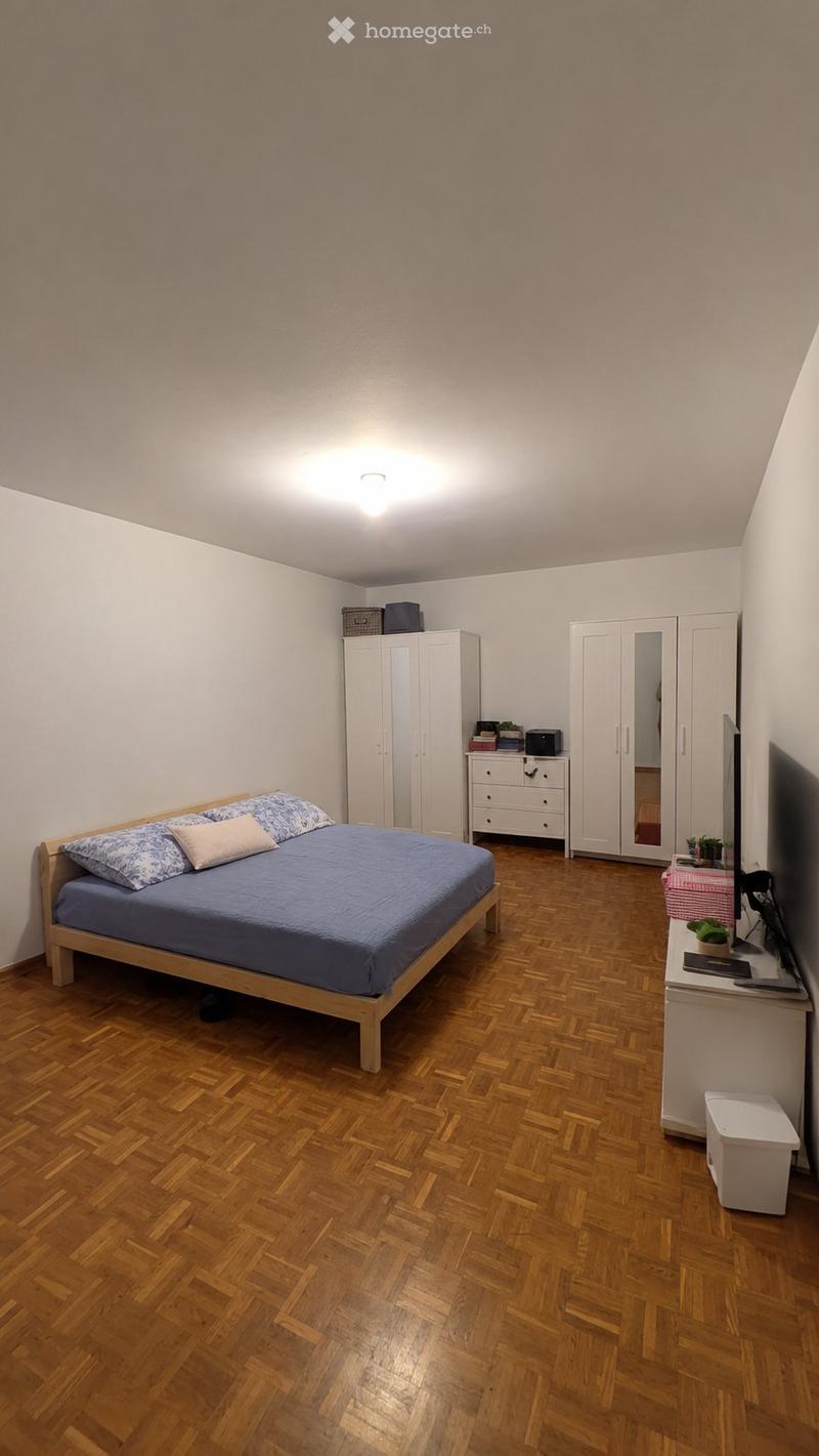 Lumino, ampio 3/ libero da dicembre-gennaio (3)