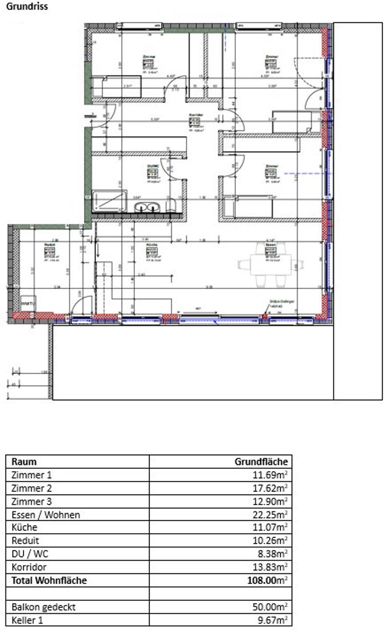 Erstbezug 4.5 Zimmer-Wohnung mit grosser Terrasse (1.1) (2)