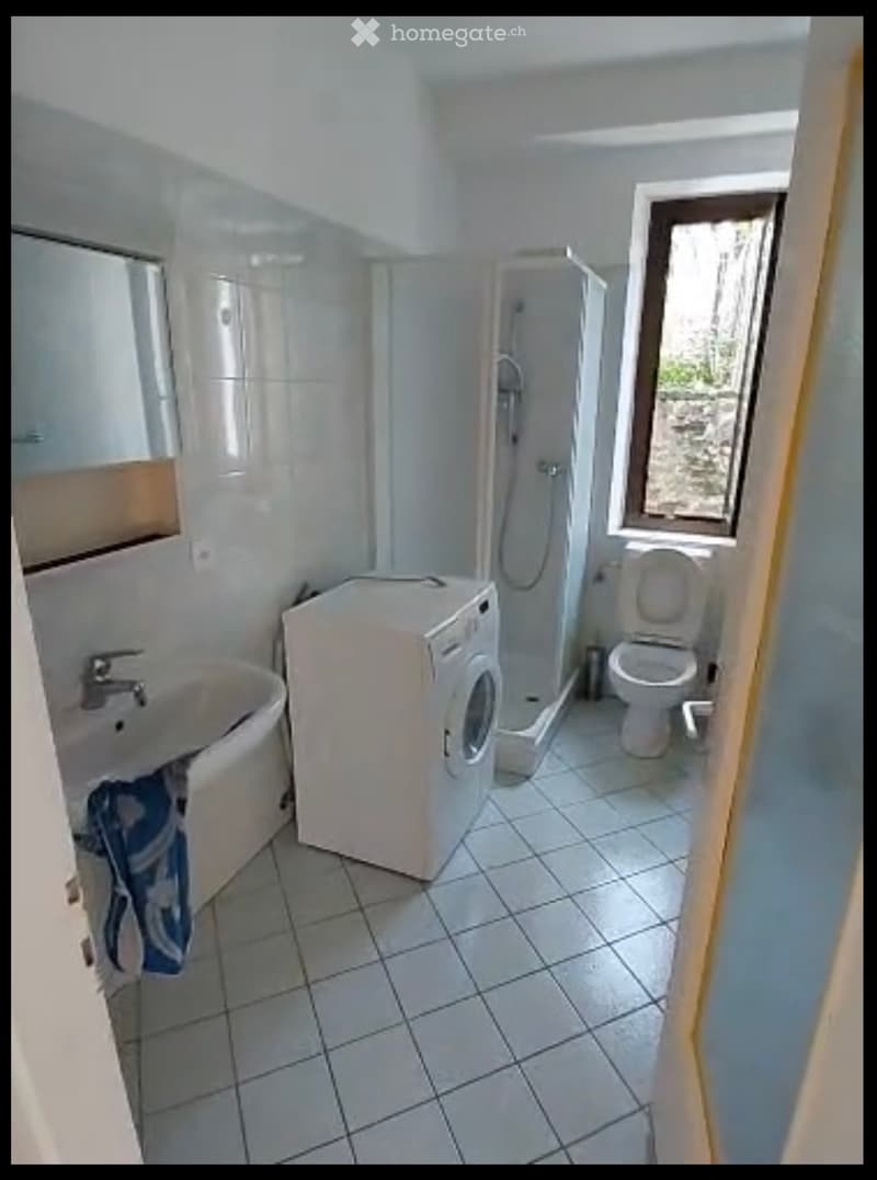 Appartamento 3 locali casa bifamiliare (2)