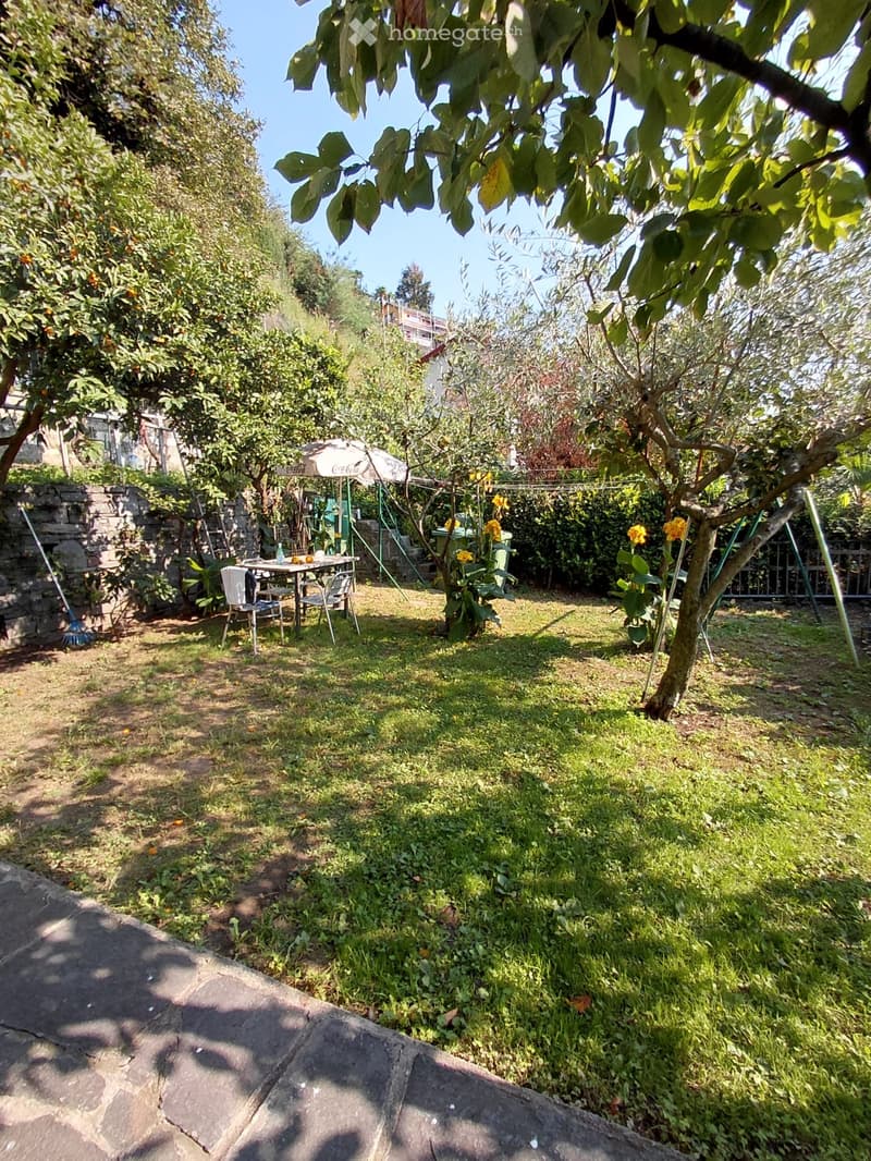Appartamento 3 locali casa bifamiliare (4)