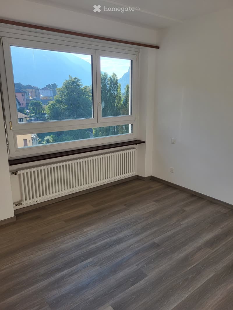 Faido affittasi appartamento 2 locali (2)