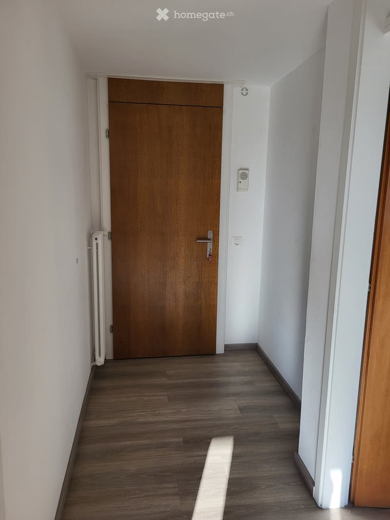 Faido affittasi appartamento 2 locali (5)