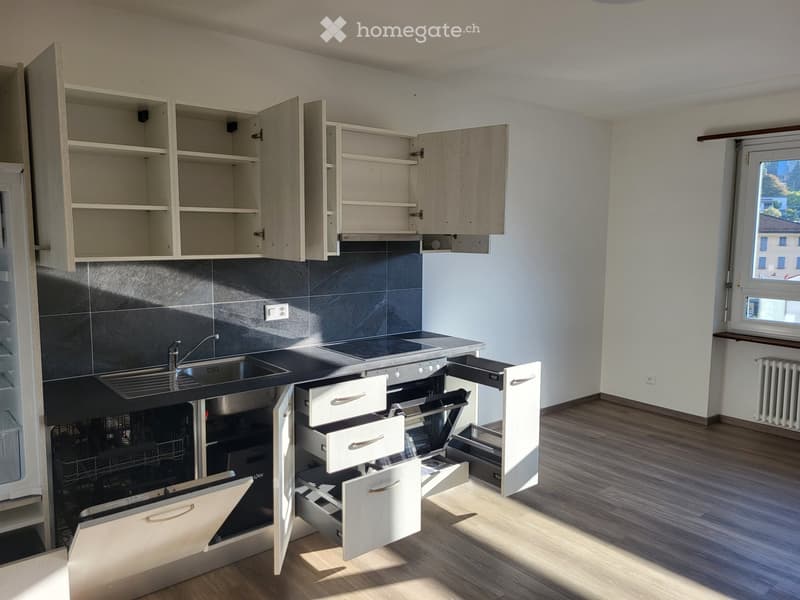 Faido affittasi appartamento 2 locali (3)