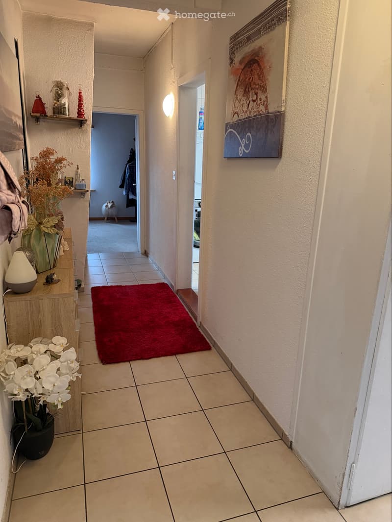 4Zi-Wohnung inkl. NK in Tann ab 01.01.27 (2)
