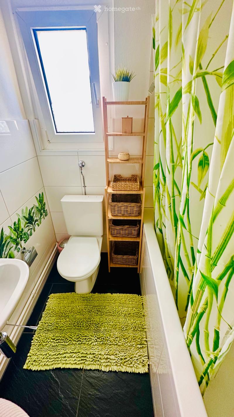 3,5 Zimmer Wohnung zu vermieten (2)