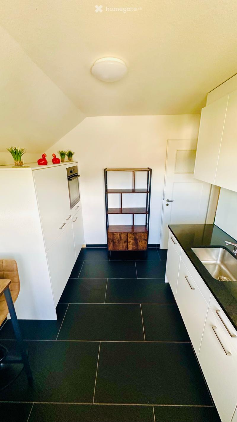 3,5 Zimmer Wohnung zu vermieten (3)
