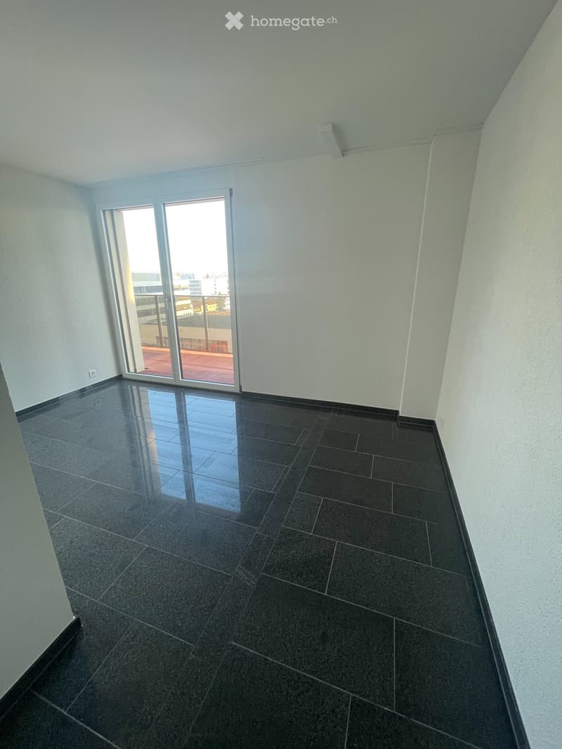 Gross, Luxurious Apartment in Stettbach Dübendorf (4)