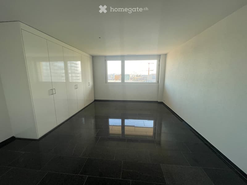 Gross, Luxurious Apartment in Stettbach Dübendorf (3)