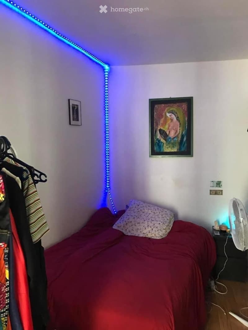 Apart 1 pièces 32 m² à louer Lumineux et bien situé (5)