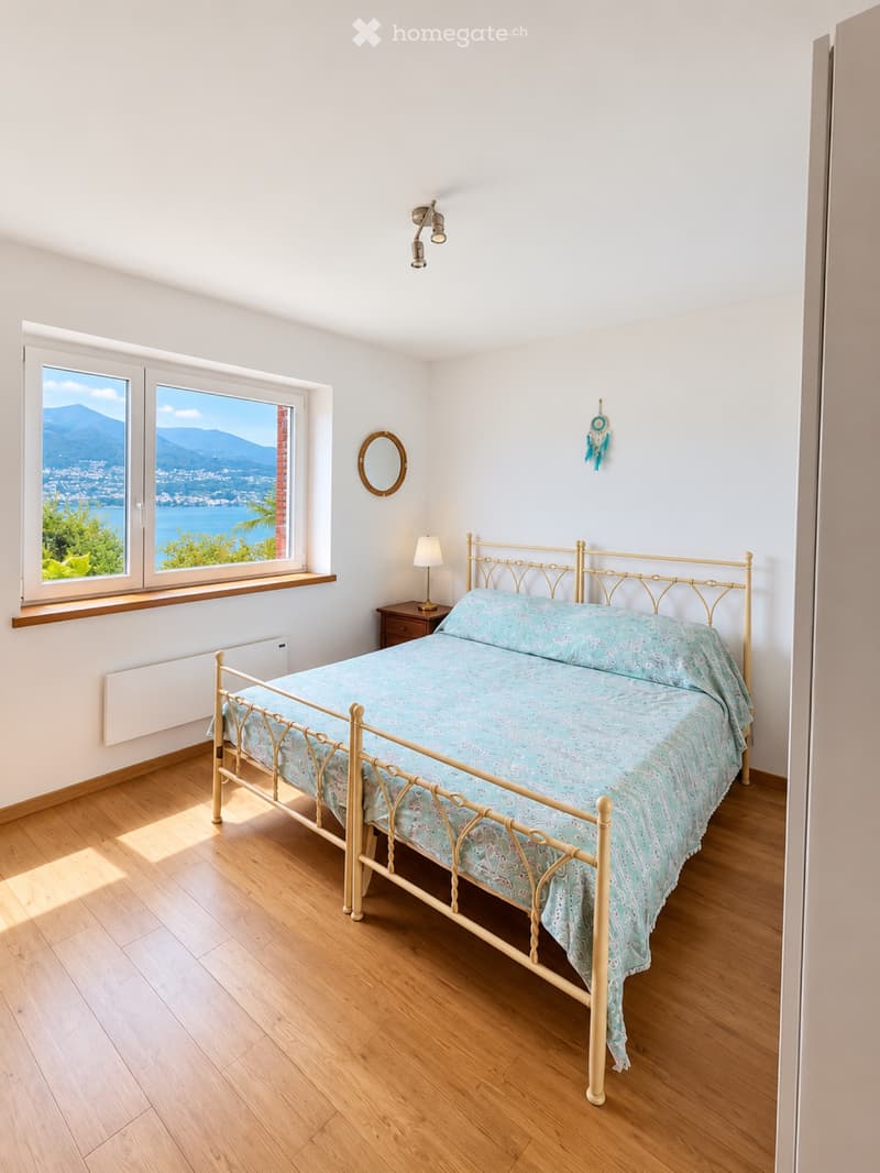 2.5 a Vira Gambarogno splendida vista, ampi spazi esterni (3)