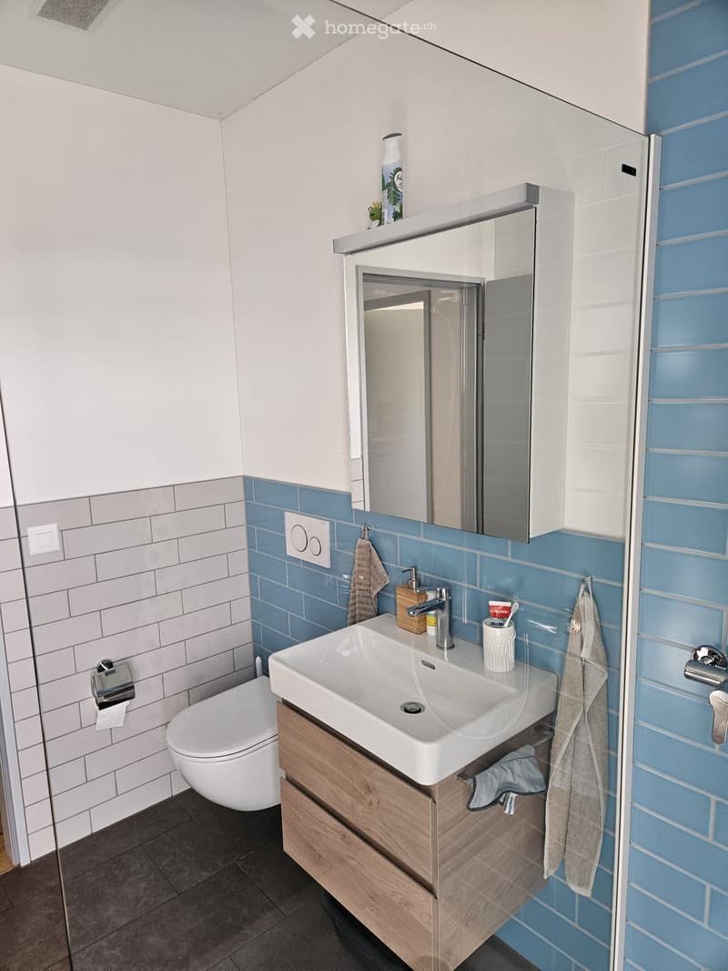 3.5-Zimmer-Wohnung (4)
