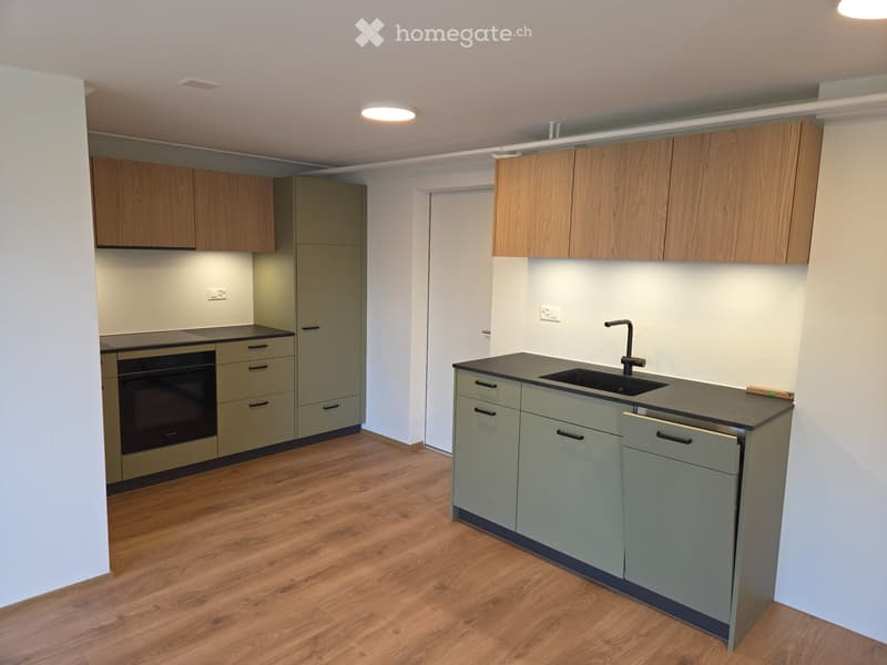 Gemütliche 2-Zimmerwohnung an ruhiger Lage zu vermieten (2)