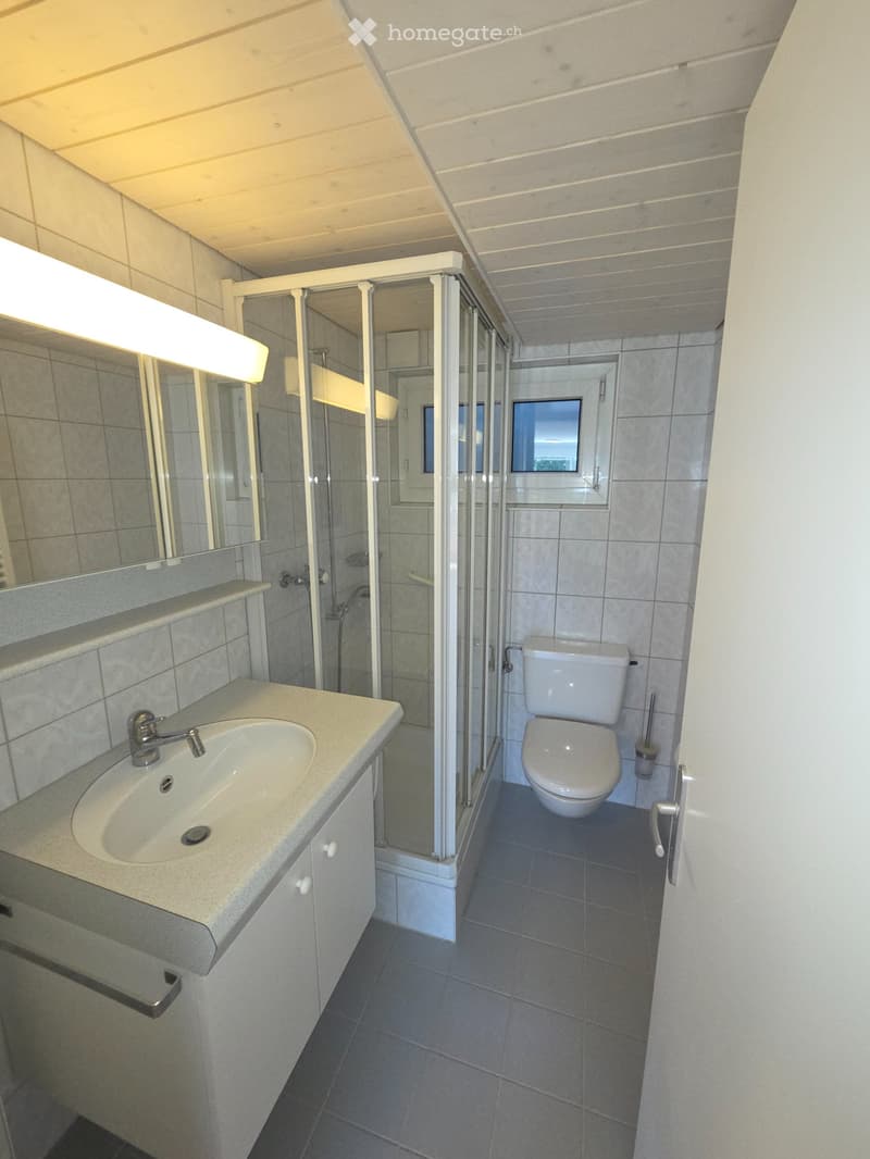 Gemütliche 2-Zimmerwohnung an ruhiger Lage zu vermieten (5)