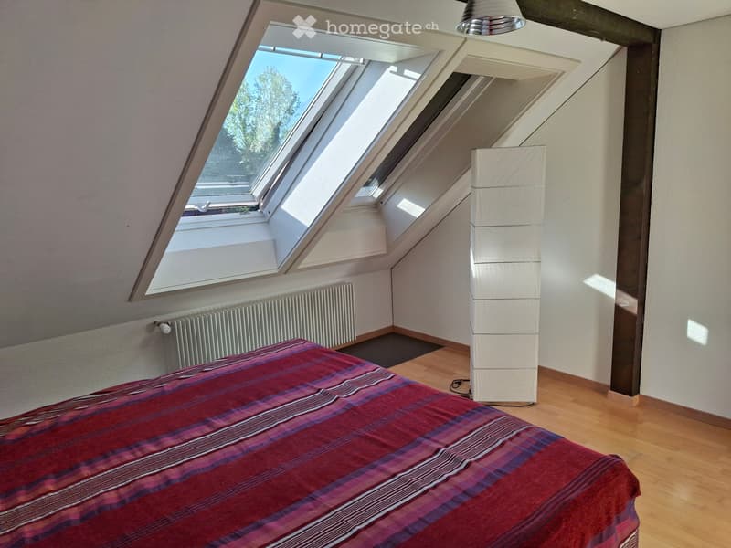 3,5 Zimmer Wohnung befristet bis Sommer 27 (5)
