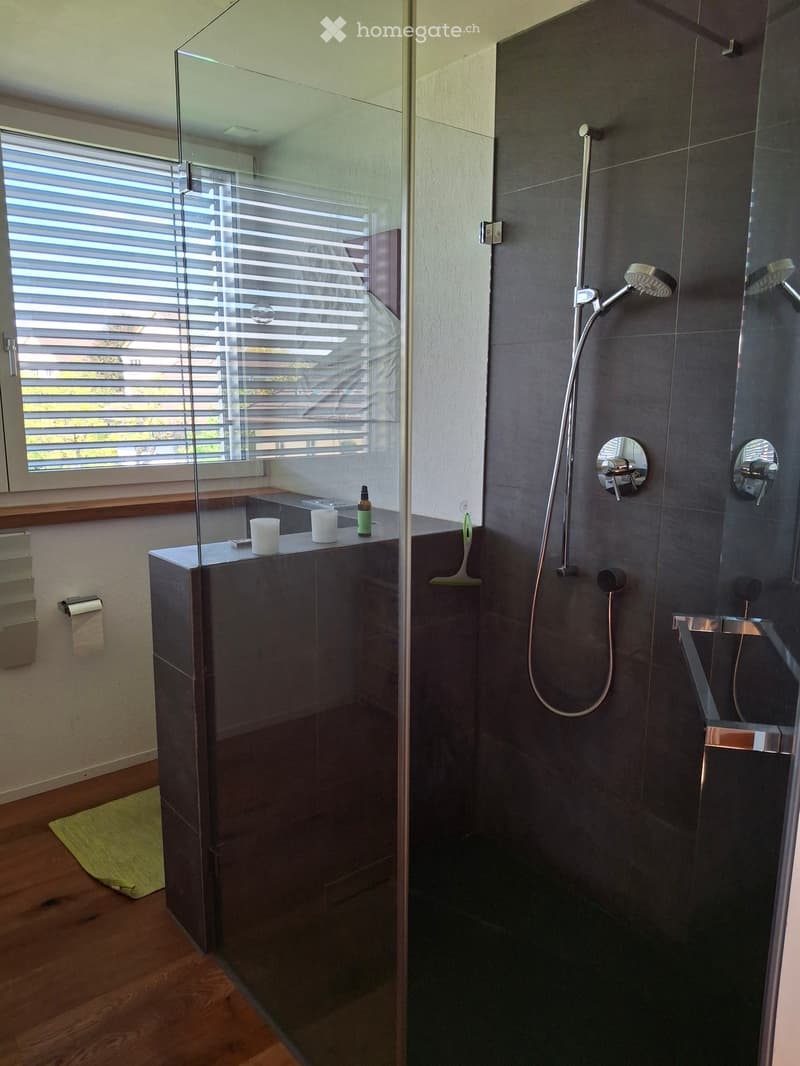 3,5 Zimmer Wohnung befristet bis Sommer 27 (2)