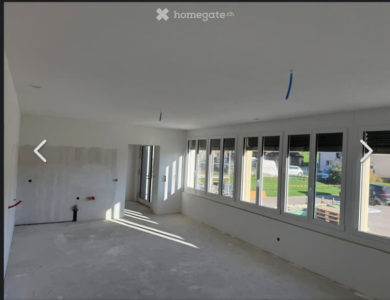 3.5 Wohnung EG, Erstvermietung (1)