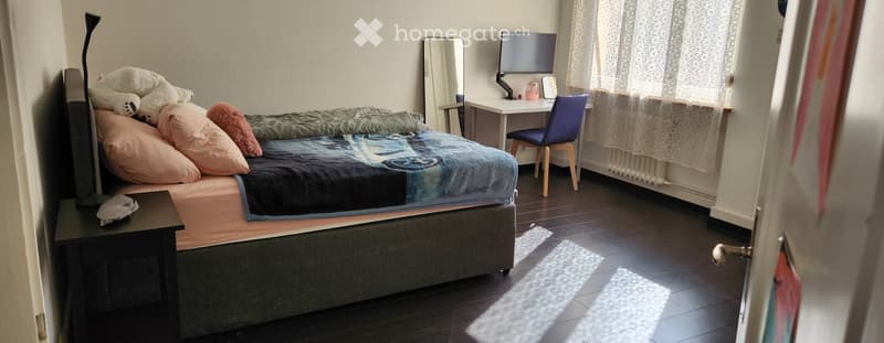 Sonnige Wohnung in Wiedikon  Kurzzeitmiete für nur 3 Wochen (3)