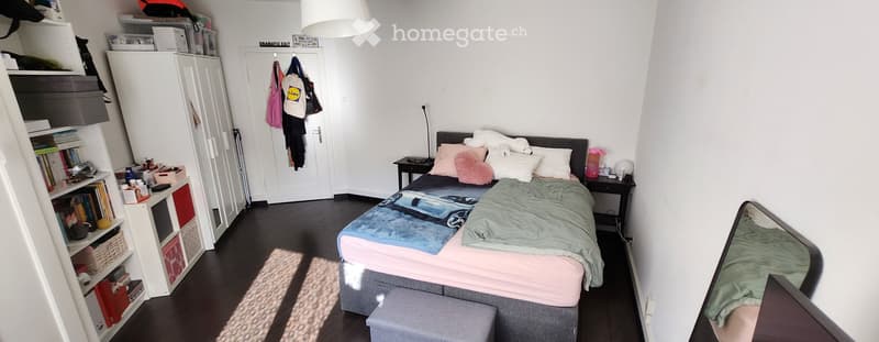 Sonnige Wohnung in Wiedikon  Kurzzeitmiete für nur 3 Wochen (4)