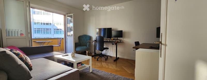 Sonnige Wohnung in Wiedikon  Kurzzeitmiete für nur 3 Wochen (2)