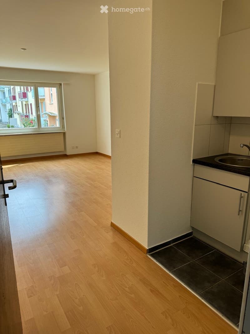 Rent a 1 room apartment in Zürich (1)