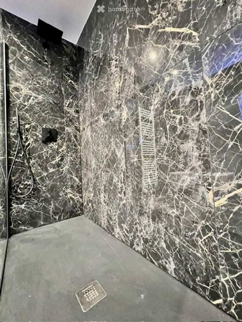 Elegante appartamento completamente rinnovato con vista lago (8)
