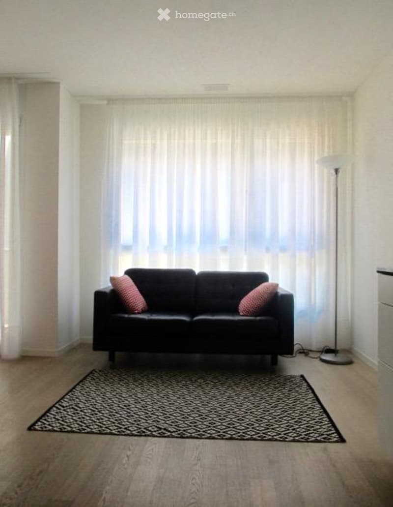Möblierte und schöne 1-Zimmer Wohnung im Kreis 5 (Zürich) (4)