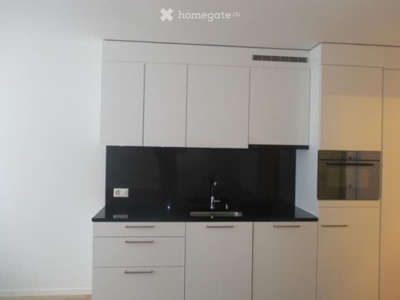 Möblierte und schöne 1-Zimmer Wohnung im Kreis 5 (Zürich) (1)