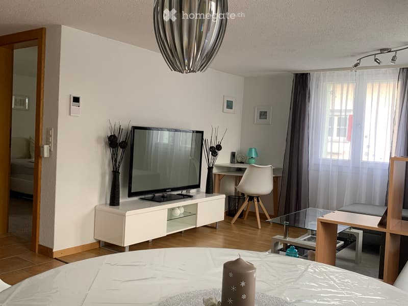 Apartment: zentral, möbliert - furnished, 2.5 Zimmer / rooms (4)