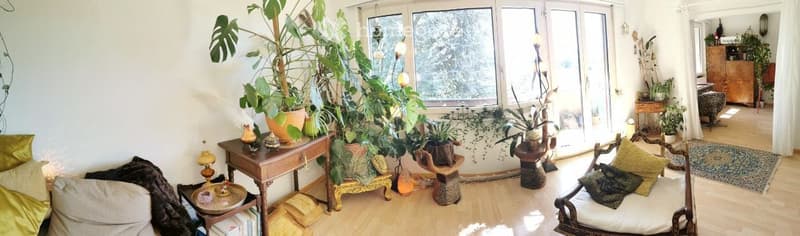 günstige, schöne 4-Zimmer Wohnung mit toller Aussicht (5)
