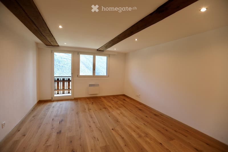 Renovierte Wohnung inkl. grossem Keller im sonnigen Hohtenn (5)