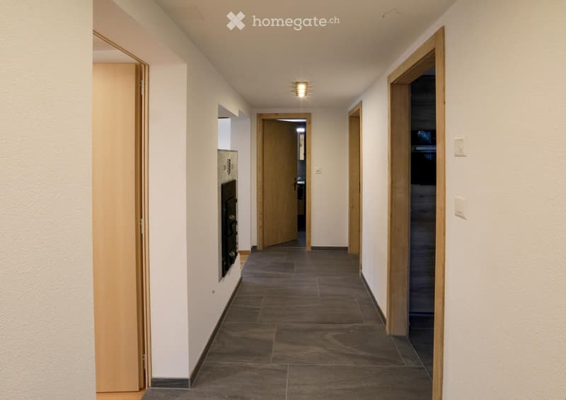 Renovierte Wohnung inkl. grossem Keller im sonnigen Hohtenn (2)
